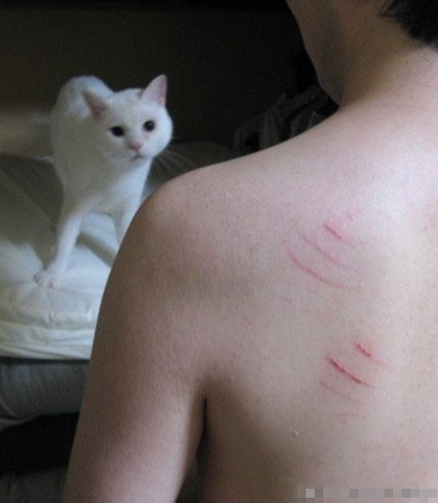 �񰡾Ⱦ��Ұ� ��Ҫ�߽��� ��ЦͼƬ