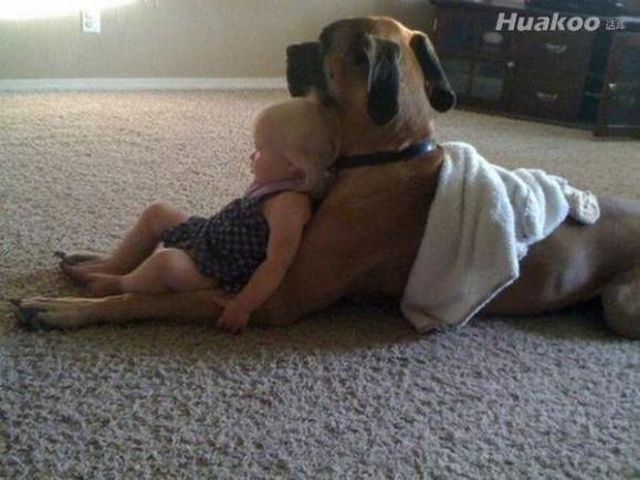 ����ͼ�������������࣡��ЦͼƬ