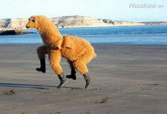 ����ͼ�������������࣡��ЦͼƬ