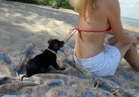 ����Ц�������Ķ���ͼ ��ЦͼƬ