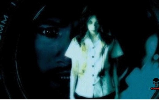 ʮ��������� �й����µ���ʵ�������