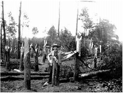 中国十大灵异变乱 绝密隐秘灵异变乱