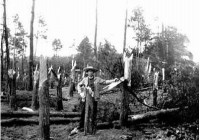 �й�ʮ��������� ���������������