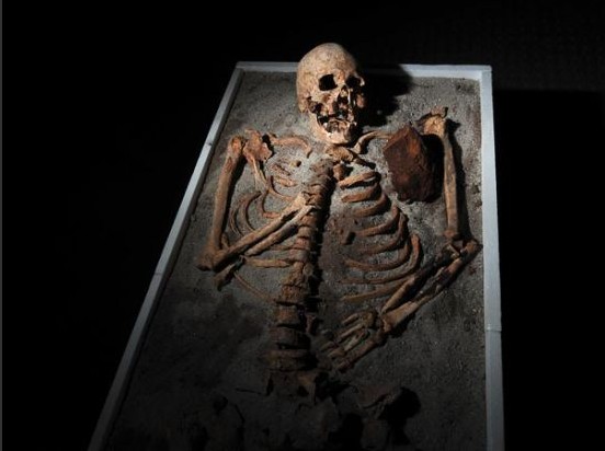 ��Ѫ��ǧ���������Ѫ�� �ؿڱ��嵶��ͼ��