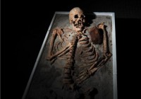 ��Ѫ��ǧ���������Ѫ�� �ؿڱ��嵶��ͼ��