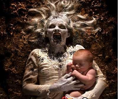 ������� ������������ʵ�����������