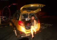 �ʹ�������� �ʹ����������콩ʬ��ͼ��