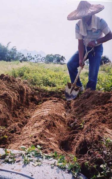 揭开迂腐“僵尸”可怕的背后的奥秘(图)