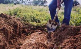 �ҿ��ظ�����ʬ�����µı���İ��أ�ͼ��