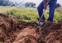 �ҿ��ظ�����ʬ�����µı���İ��أ�ͼ��