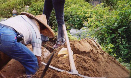 �ҿ��ظ�����ʬ�����µı���İ��أ�ͼ��