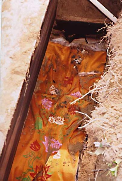 �ҿ��ظ�����ʬ�����µı���İ��أ�ͼ��