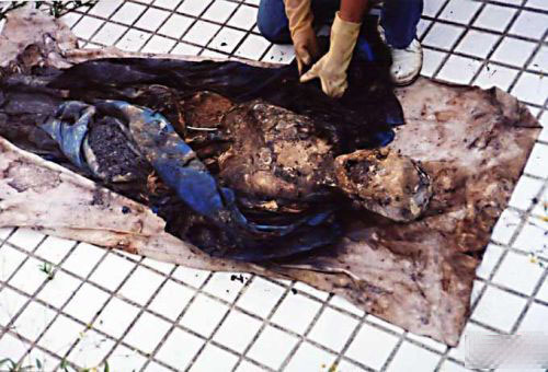 �ҿ��ظ�����ʬ�����µı���İ��أ�ͼ��