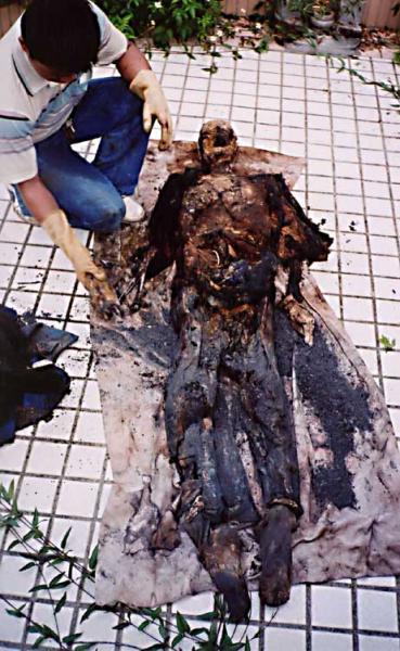 揭开迂腐“僵尸”可怕的背后的奥秘(图)