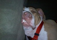 ��һ�۾�Ц�������ͼ ��ЦͼƬ