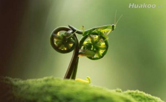 һ�����豻���� ��尡 ��ЦͼƬ