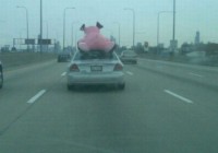 �����������˲���׽�� ��ЦͼƬЦ����