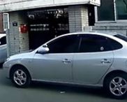 ������Ȼ��ըը��·��