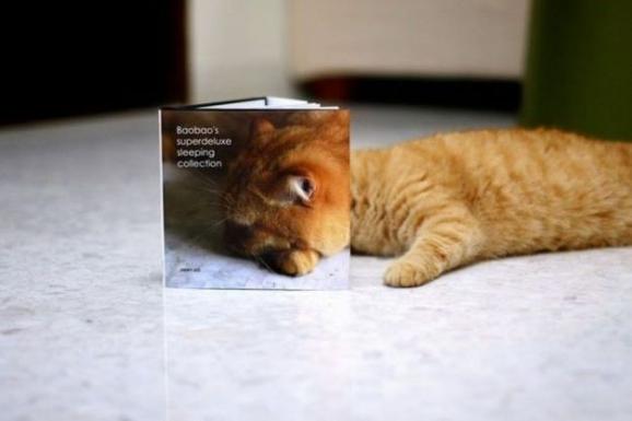 ���Ⱞ��� ��Ɀ��ŵ����� ��ЦͼƬ