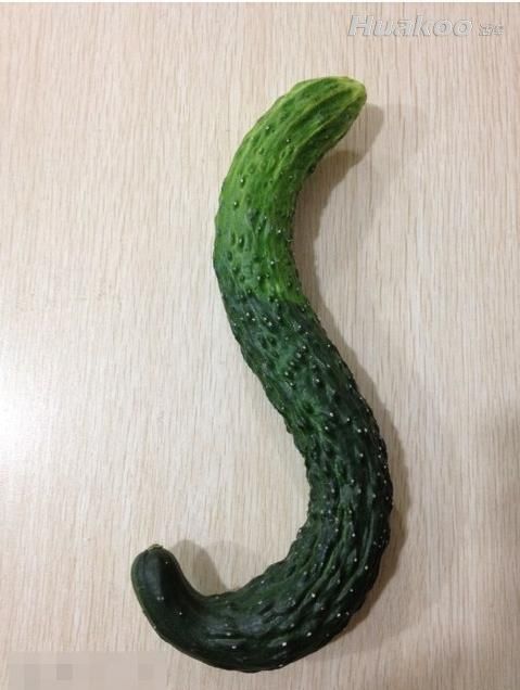 ������ �����������Ķ����� ��ЦͼƬ