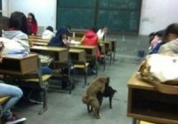 ��Ʒ�ն�ͼ ̫���ˣ��׵���Ѫ��Ȥͼ��