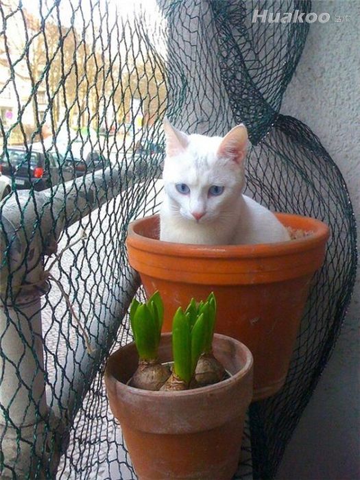 ��Ʒ�ն�ͼ ̫���ˣ��׵���Ѫ��Ȥͼ��