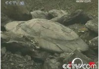 �й����ر��� �޷��ÿ�ѧ�������ı���