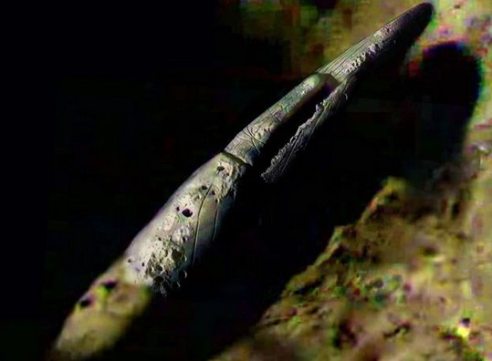 ����֮�� ��̽����ʷǰ������ʵ��