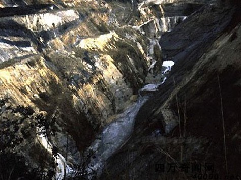 ����Ԥ���Ǻ�������Ϊ���ص���