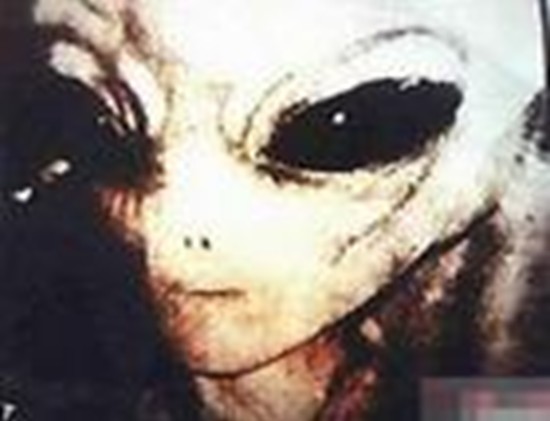 �������� �������˳������5��