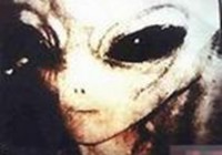 �������� �������˳������5��