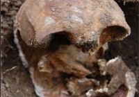 �������С�ʳ�˶�ħ�������������