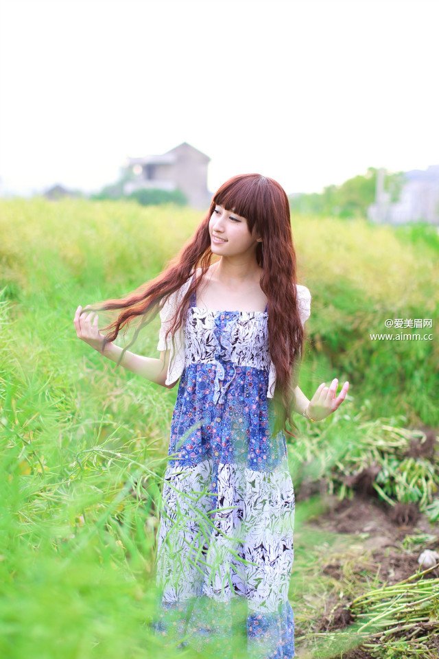 �����Ĺ���������ʧ