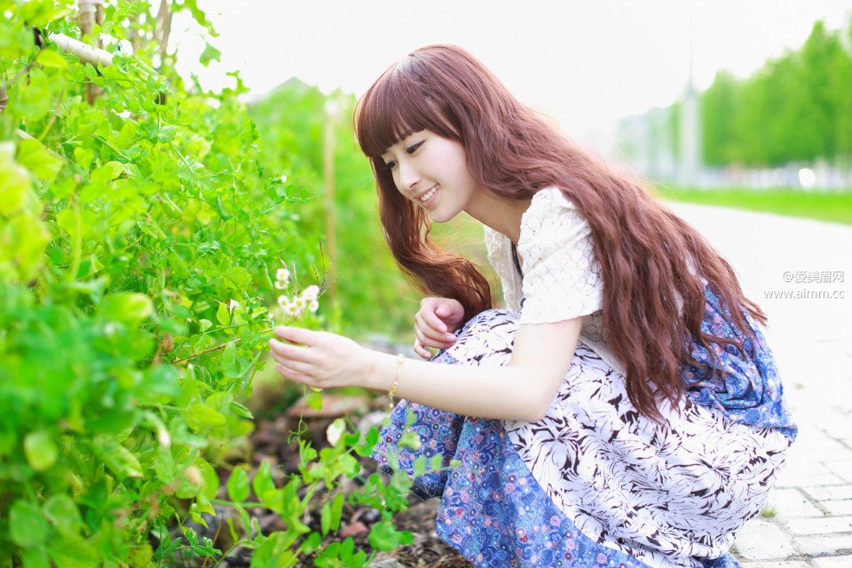 �����Ĺ���������ʧ