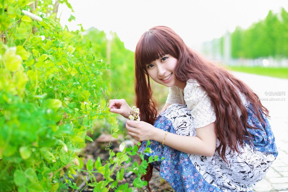 �����Ĺ���������ʧ