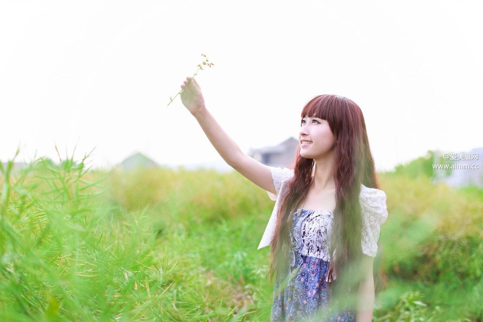 �����Ĺ���������ʧ