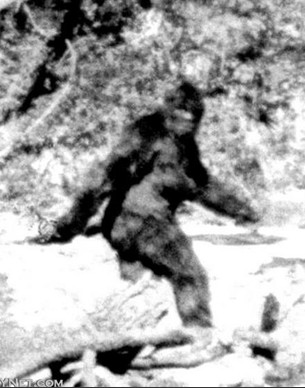 天下未解之谜 隐秘怪兽大脚怪隐秘人