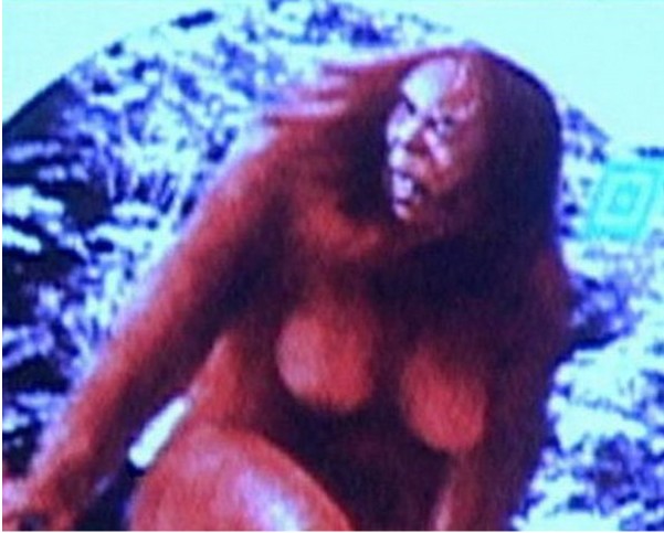 天下未解之谜 隐秘怪兽大脚怪隐秘人