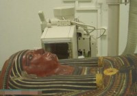 ����3000��ǰ����ľ�������� �Ű�������