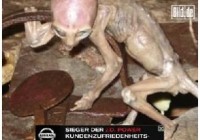 ����δ��֮�� ������������ʵ���ڵ�֤�ݣ�ͼ��