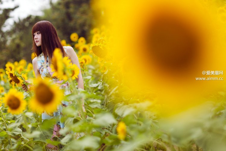 ϴԡ�ڳ�������ĳ�������ü