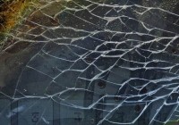 12LVE����������Ʒ����