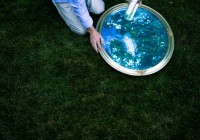 Stephen Criscolo�λ�ɫ���������