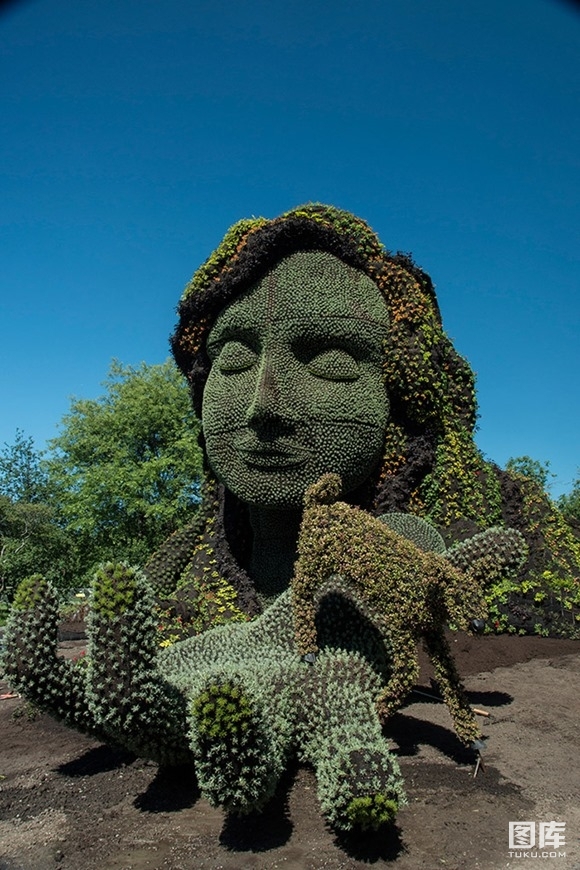 ���ô�������廨̳����������Ʒ