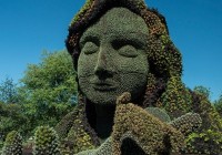 ���ô�������廨̳����������Ʒ