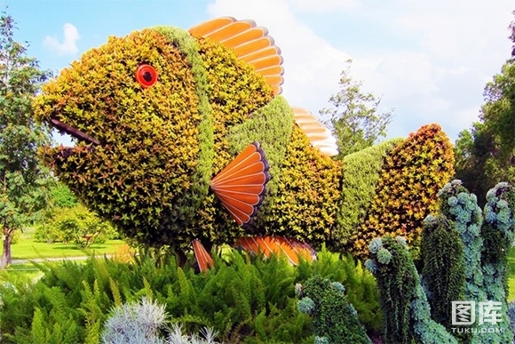 ���ô�������廨̳����������Ʒ