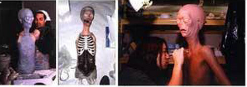 �����𾪵��������ʽ�������Ƭ���ع⣨ͼ��