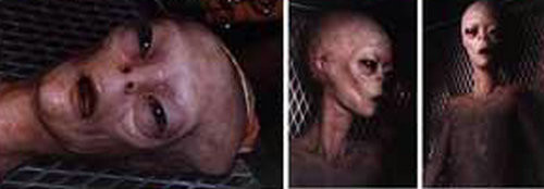 �����𾪵��������ʽ�������Ƭ���ع⣨ͼ��