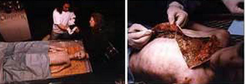 令人震惊的外星人剖解隐秘照片被曝光(图)