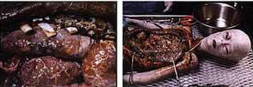 令人震惊的外星人剖解隐秘照片被曝光(图)